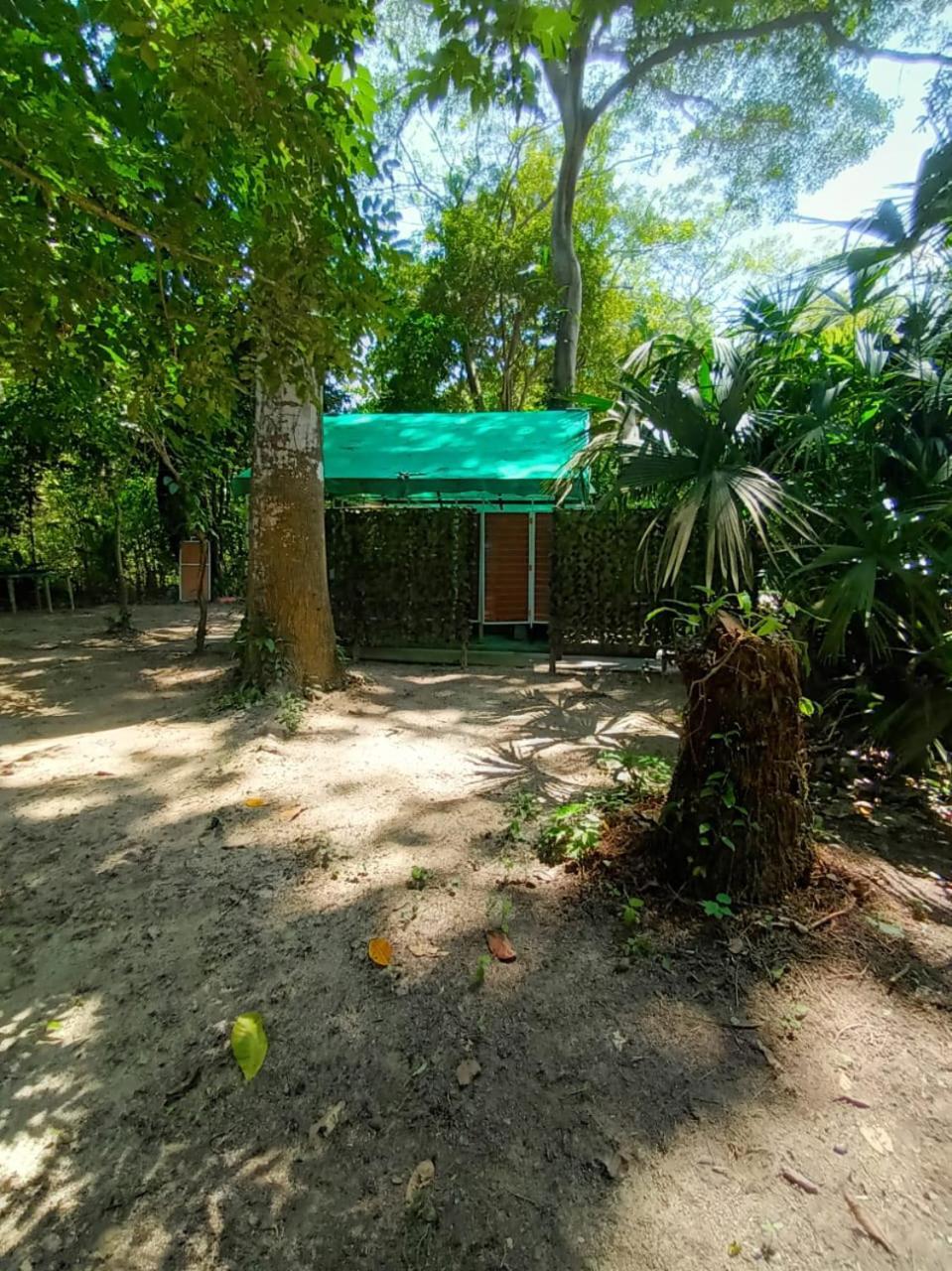 Happy Camping Arrecifes Dentro Del Parque Nacional Natural Tayrona El Coquito Eksteriør billede
